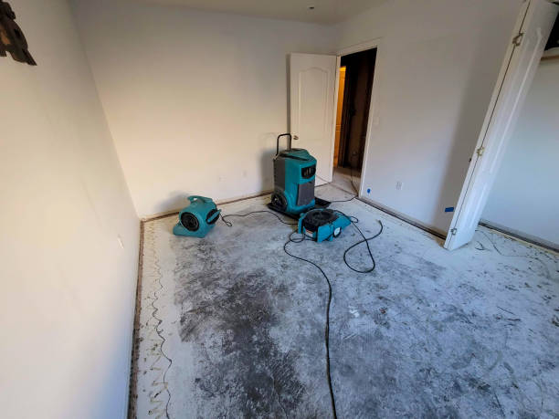 Best Professional water damage repair  in Decatur, IN
