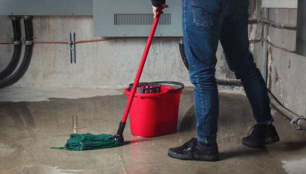 Best 24/7 water damage repair  in Decatur, IN