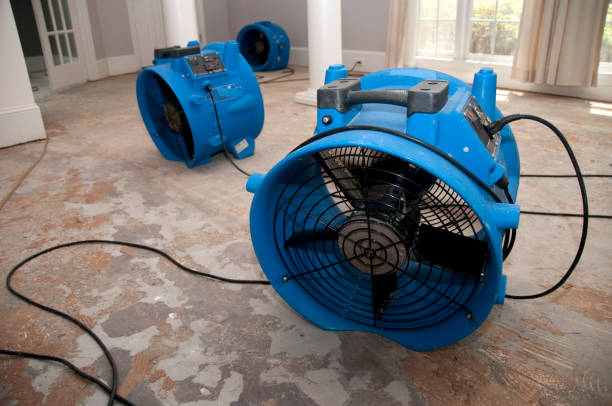 Best Water damage restoration near me  in Decatur, IN