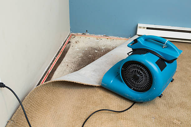 Reliable Decatur, IN Water damage restoration Solutions
